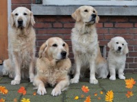 vier generatiefoto